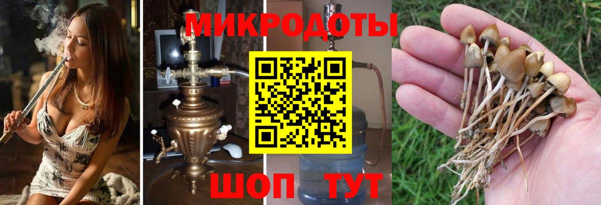 Урай  Галлюциногенные грибы прущие грибы  Вход с VPN  Псилоцибиновые грибы GOLDEN TEACHER 